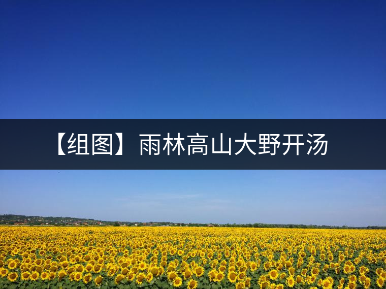 【組圖】雨林高山大野開(kāi)湯 【組圖】雨林高山大野開(kāi)湯