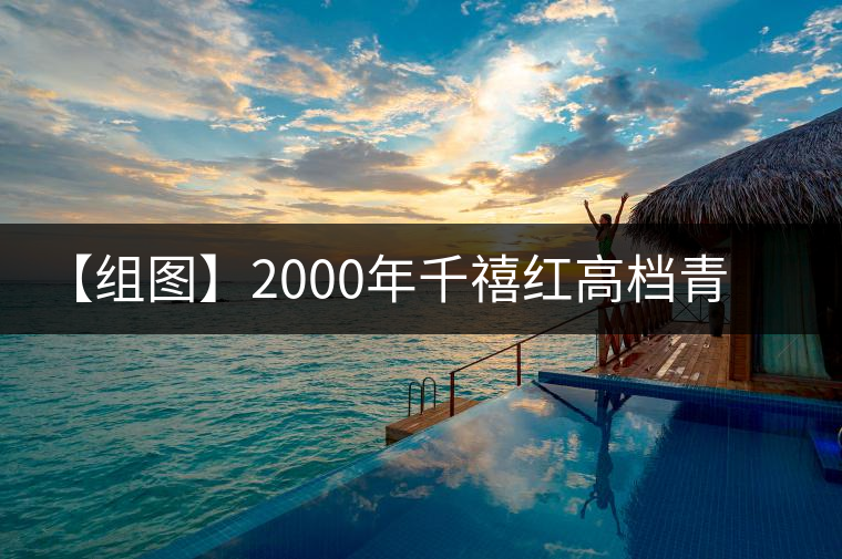 【組圖】2000年千禧紅高檔青餅開湯 【組圖】2000年千禧紅高檔青餅開湯