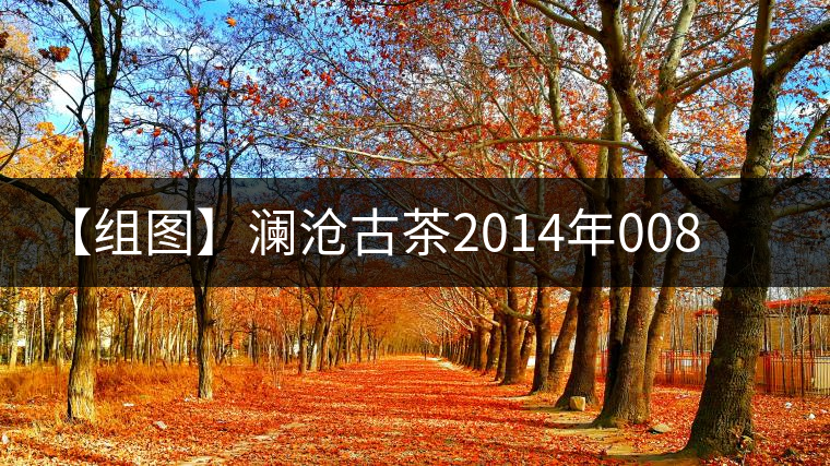 【組圖】瀾滄古茶2014年0085金磚開湯