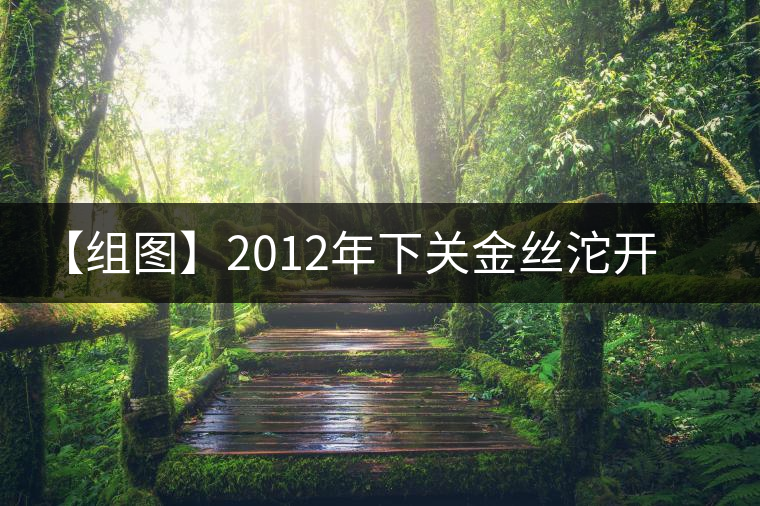 【組圖】2012年下關(guān)金絲沱開湯 【組圖】2012年下關(guān)金絲沱開湯