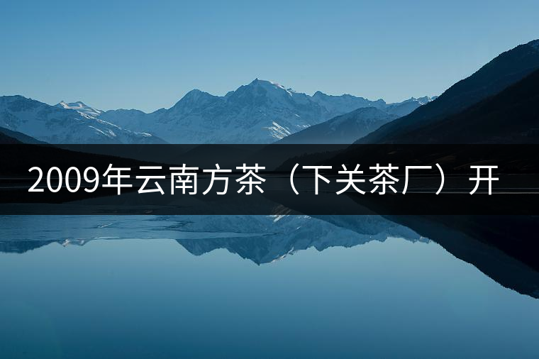 2009年云南方茶（下關茶廠）開湯