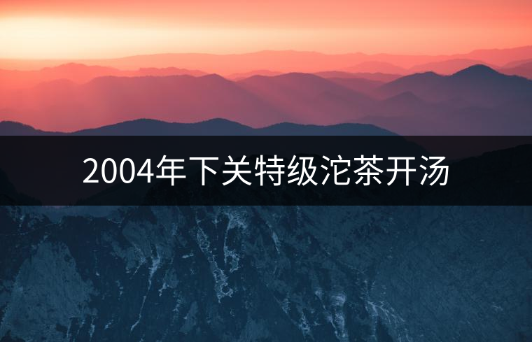 2004年下關(guān)特級(jí)沱茶開(kāi)湯