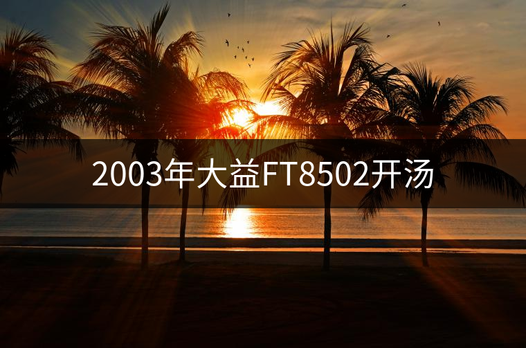 2003年大益FT8502開湯 2003年大益FT8502開湯