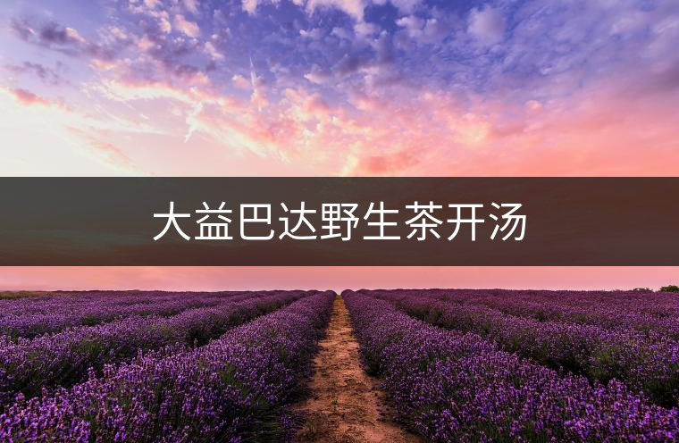 大益巴達(dá)野生茶開湯 大益巴達(dá)野生茶開湯