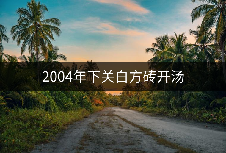 2004年下關白方磚開湯 2004年下關白方磚開湯