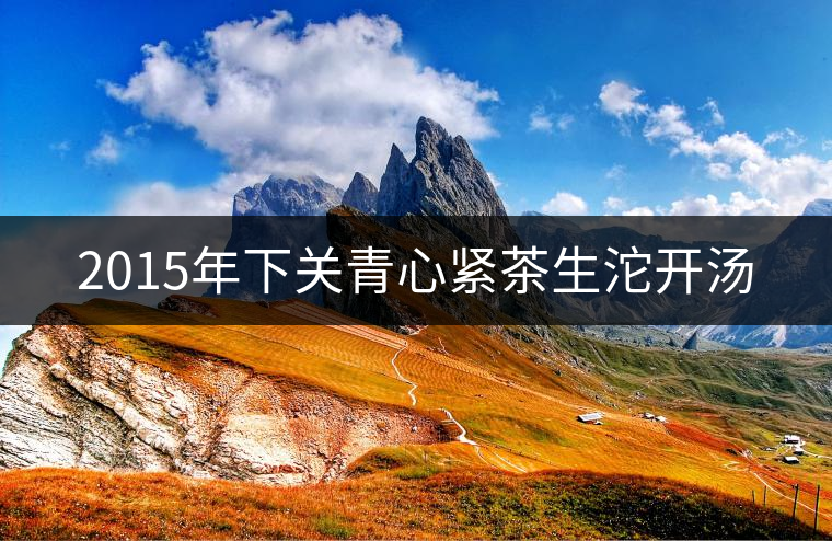 2015年下關青心緊茶生沱開湯 2015年下關青心緊茶生沱開湯