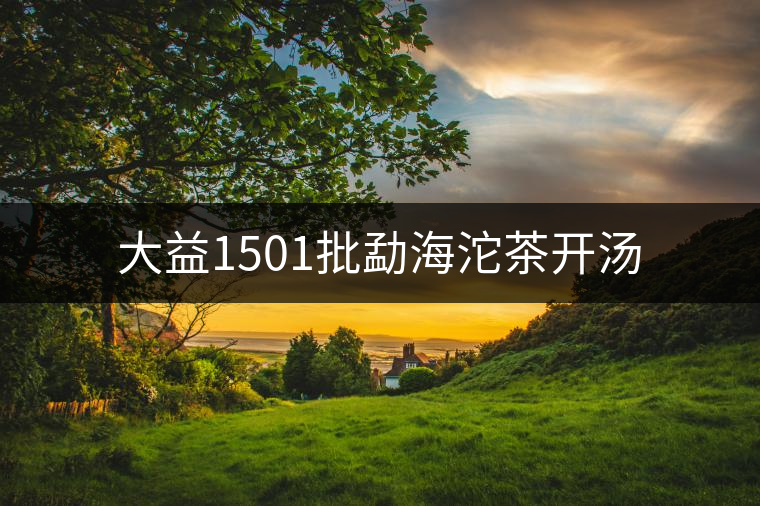 大益1501批勐海沱茶開(kāi)湯 大益1501批勐海沱茶開(kāi)湯