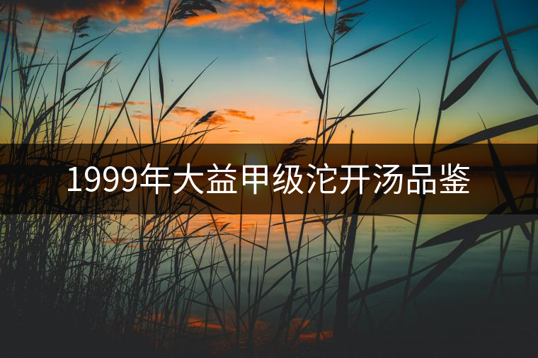 1999年大益甲級沱開湯品鑒