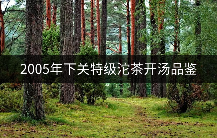 2005年下關(guān)特級(jí)沱茶開(kāi)湯品鑒 2005年下關(guān)特級(jí)沱茶開(kāi)湯品鑒