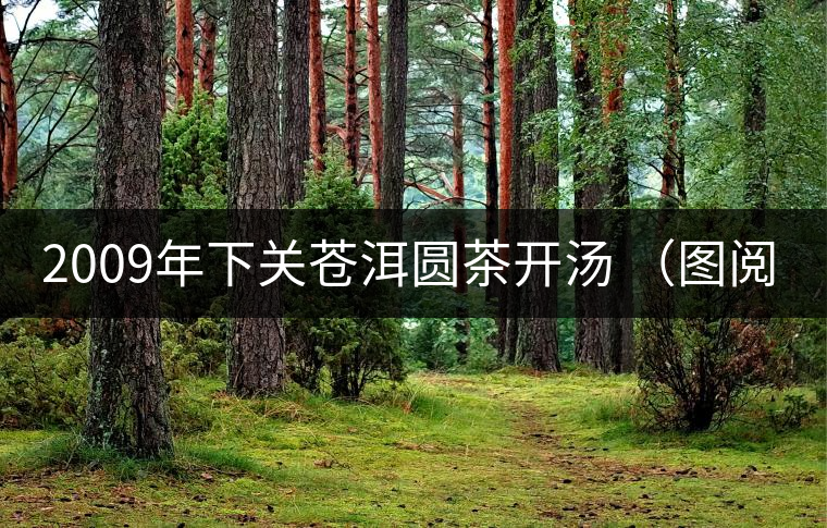 2009年下關(guān)蒼洱圓茶開(kāi)湯 (圖閱) 2009年下關(guān)蒼洱圓茶開(kāi)湯 (圖閱)