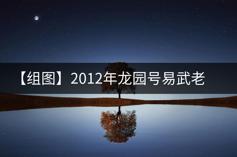 【組圖】2012年龍園號(hào)易武老樹(shù)餅茶開(kāi)湯