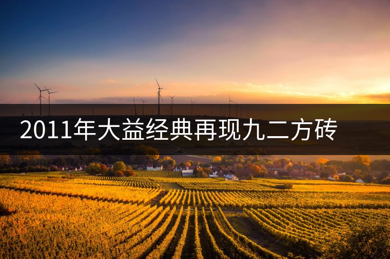 2011年大益經典再現九二方磚（生茶）開湯