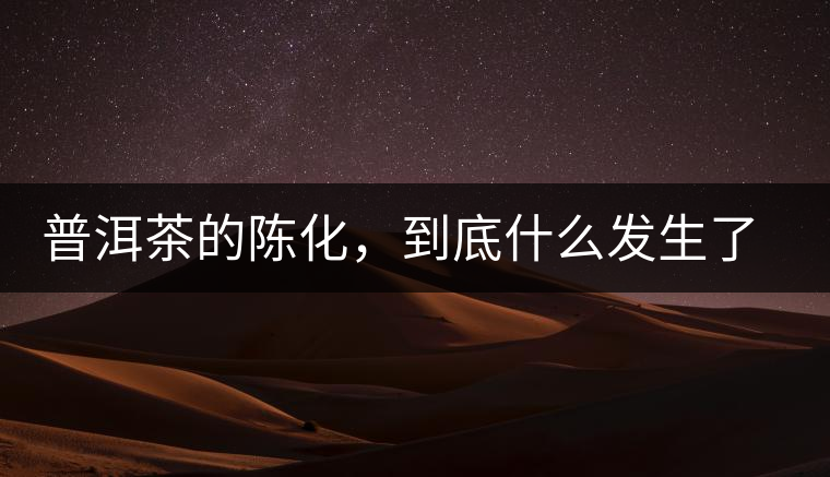 普洱茶的陳化，到底什么發(fā)生了哪些變化？