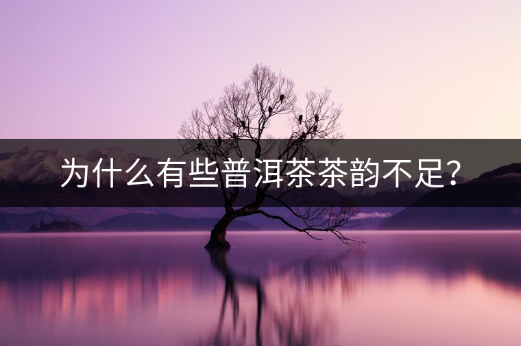 為什么有些普洱茶茶韻不足？
