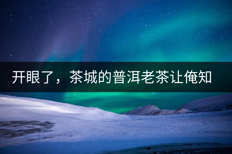 開眼了，茶城的普洱老茶讓俺知道了老茶樹