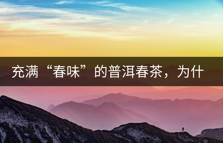 充滿“春味”的普洱春茶，為什么值得期待？