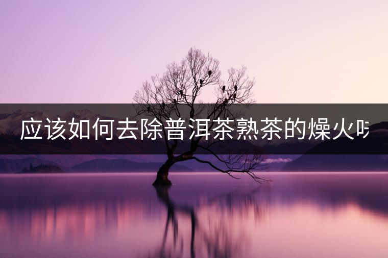 應(yīng)該如何去除普洱茶熟茶的燥火味？