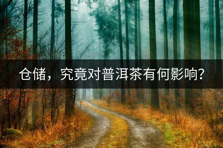 倉(cāng)儲(chǔ)，究竟對(duì)普洱茶有何影響？