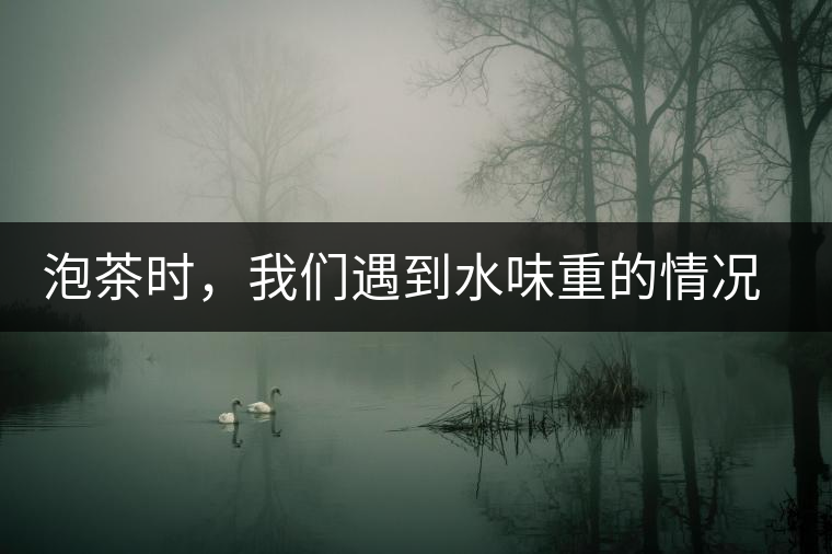 泡茶時,我們遇到水味重的情況是怎么回事呢? 泡茶時,我們遇到水味重的情況是怎么回事呢?