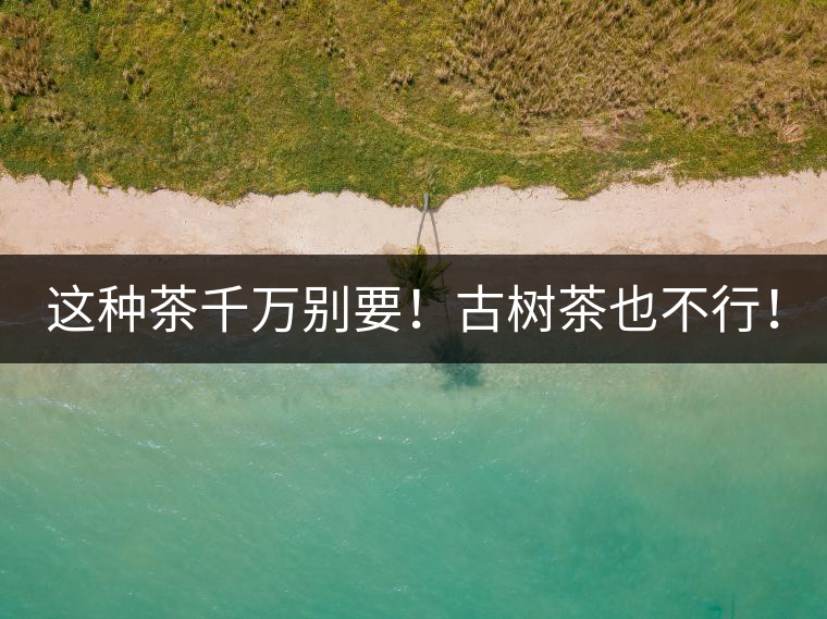 這種茶千萬別要！古樹茶也不行！