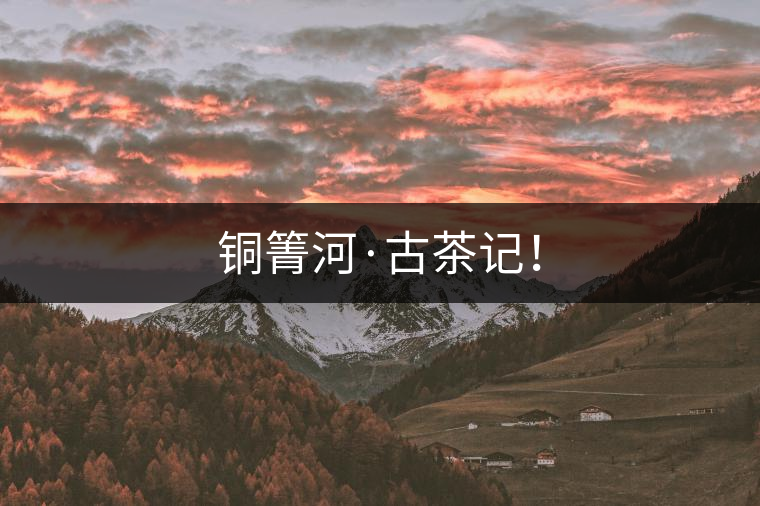 銅箐河·古茶記！