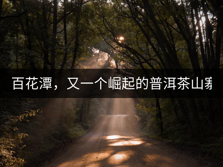 百花潭，又一個崛起的普洱茶山寨！