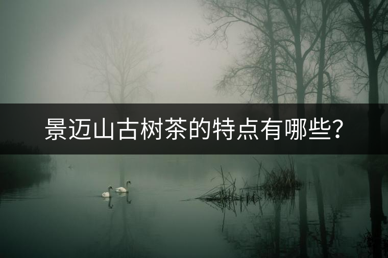 景邁山古樹茶的特點(diǎn)有哪些？