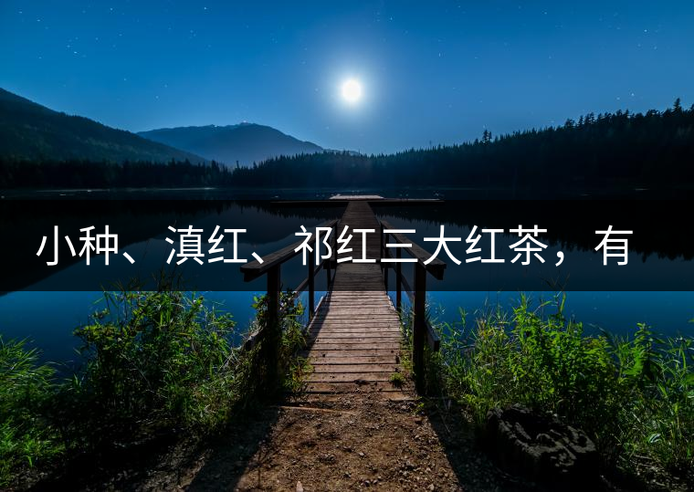 小種、滇紅、祁紅三大紅茶，有何區(qū)別