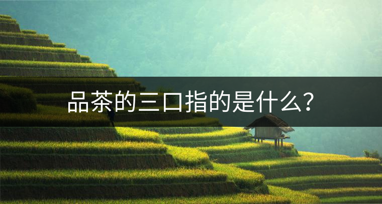 品茶的三口指的是什么？