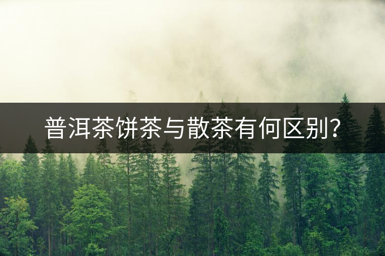 普洱茶餅茶與散茶有何區(qū)別？