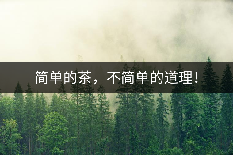 簡單的茶，不簡單的道理！