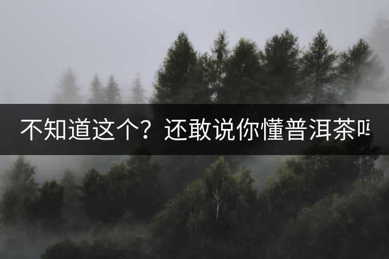 不知道這個(gè)？還敢說(shuō)你懂普洱茶嗎？