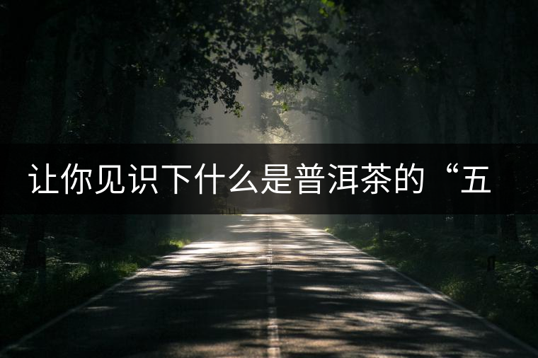 讓你見識(shí)下什么是普洱茶的“五六七八九