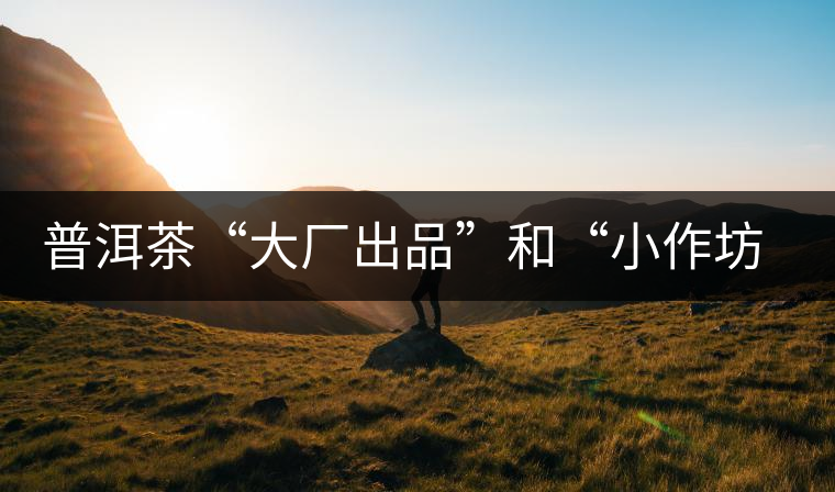 普洱茶“大廠出品”和“小作坊”，哪一個更值得購買？