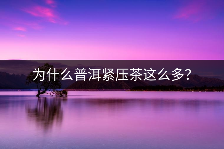 為什么普洱緊壓茶這么多？