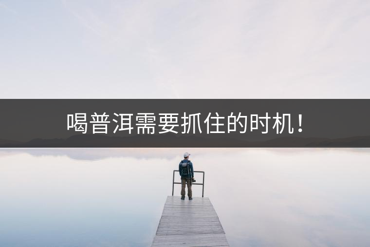 喝普洱需要抓住的時機！