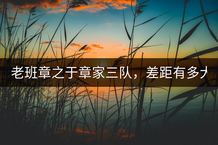 老班章之于章家三隊(duì)，差距有多大？