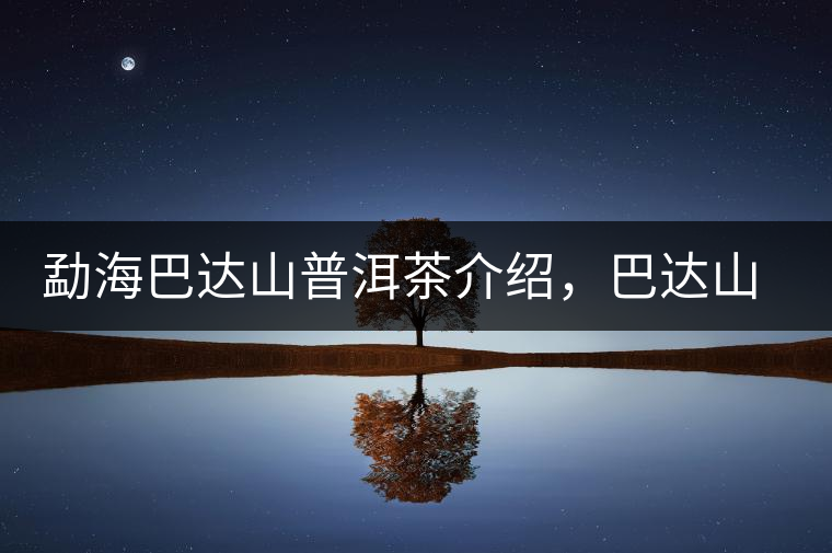 勐海巴達(dá)山普洱茶介紹，巴達(dá)山古樹茶口感特點(diǎn)