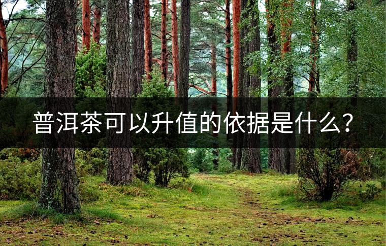 普洱茶可以升值的依據(jù)是什么？