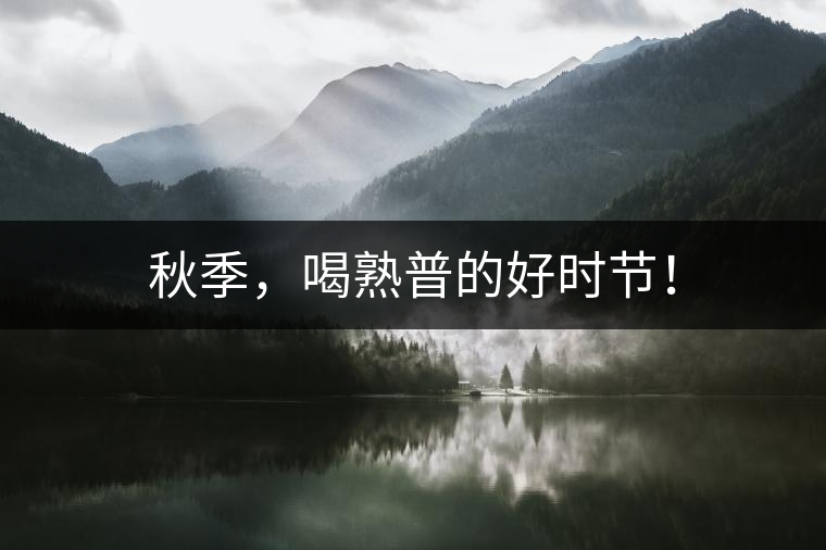 秋季，喝熟普的好時(shí)節(jié)！