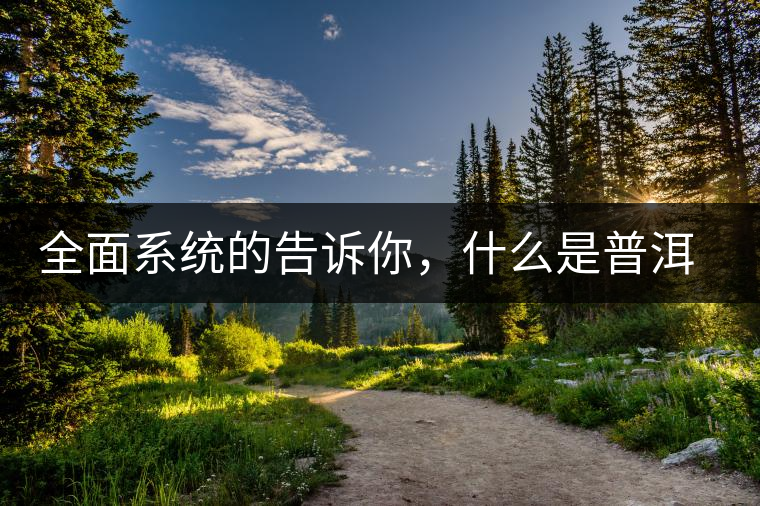 全面系統(tǒng)的告訴你，什么是普洱茶