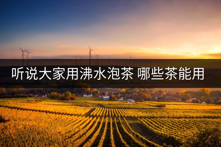 聽說大家用沸水泡茶 哪些茶能用沸水泡 聽說大家用沸水泡茶 哪些茶能用沸水泡