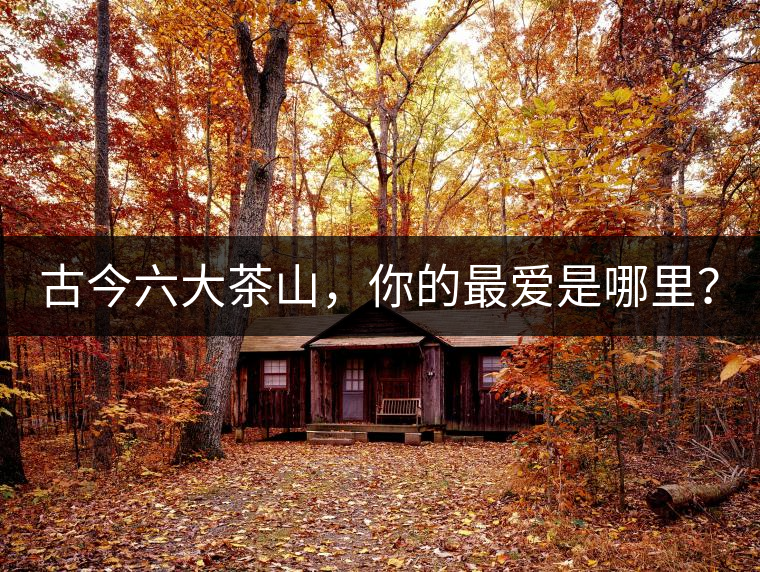 古今六大茶山，你的最?lèi)?ài)是哪里？