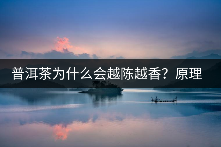 普洱茶為什么會越陳越香？原理是什么？