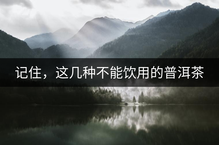 記住，這幾種不能飲用的普洱茶