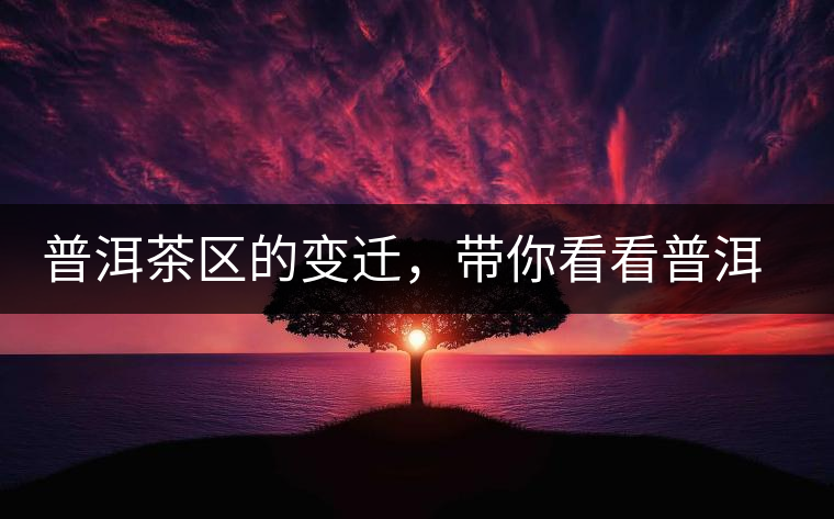 普洱茶區(qū)的變遷，帶你看看普洱茶地域分布