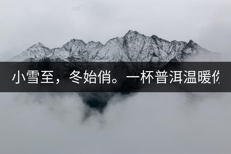 小雪至，冬始俏。一杯普洱溫暖你的冬天！