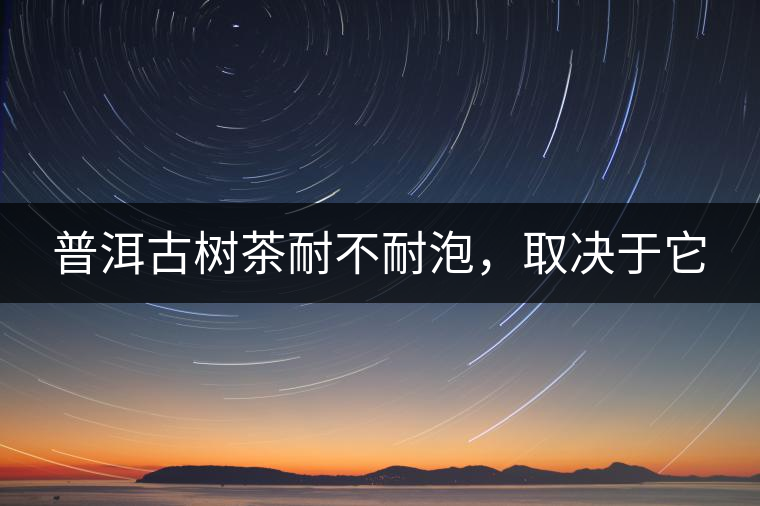 普洱古樹茶耐不耐泡，取決于它