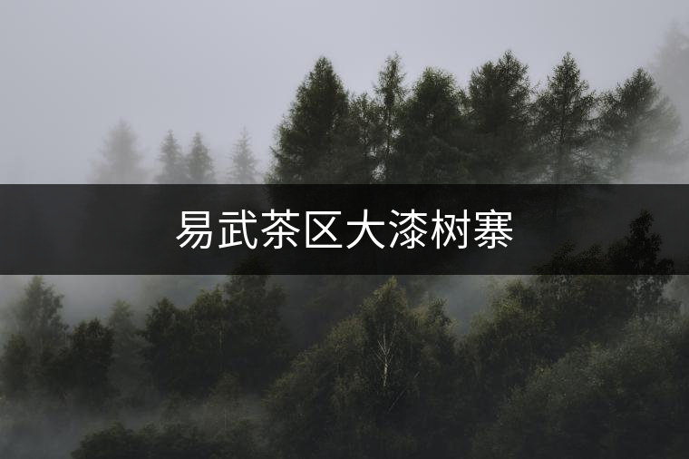 易武茶區(qū)大漆樹(shù)寨 易武茶區(qū)大漆樹(shù)寨