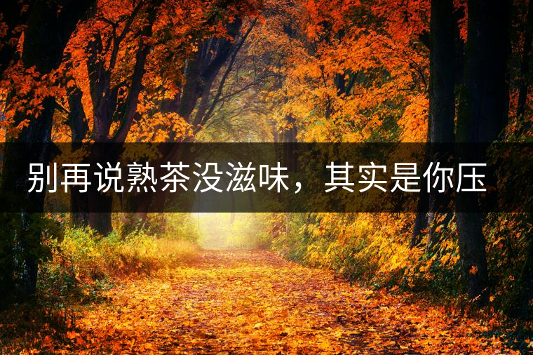 別再說(shuō)熟茶沒(méi)滋味，其實(shí)是你壓根沒(méi)喝懂